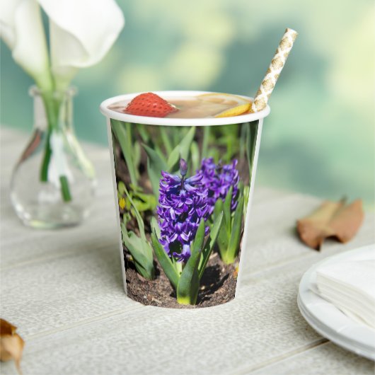 ブルージオキンス春 紙コップ (インサイチュ)