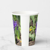 ブルージオキンス春 紙コップ (右)