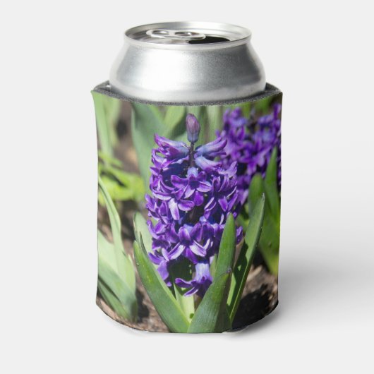 ブルージオキンス春 缶クーラー (缶裏面)