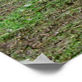 ブルージュのダウンタウンの白い白鳥 ポスター (角)