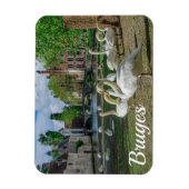 ブルージュのダウンタウンの白い白鳥 マグネット (縦)