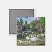 ブルージュのダウンタウンの白い白鳥 マグネット (正面/裏面)