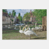 ブルージュのダウンタウンの白い白鳥 ラッピングペーパーシート (正面)