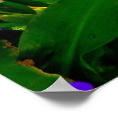 ブルージンジャーとブーゲンビリア ポスター (角)