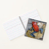 ブルージーンズフロッグスクエアノート ノートブック (内部)