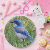 ブルースかわいらしクラブジェイバードフォト ペーパープレート (パーティー)