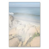 ブルースの多肉的な淡い色の色合い テーブルナンバー (裏面)