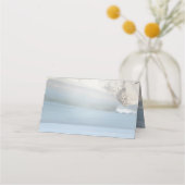 ブルースの多肉的な淡い色の色合い プレイスカード (裏面)