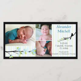 ブルースの鳥と花の誕生発表 案内状