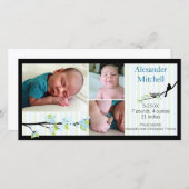 ブルースの鳥と花の誕生発表 案内状 (正面/裏面)