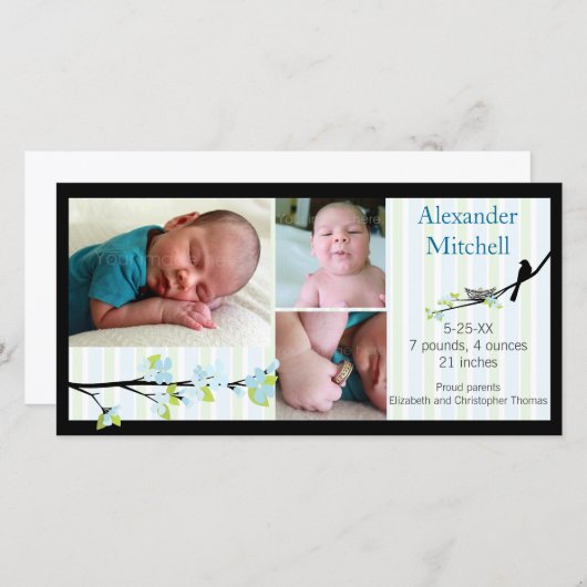 ブルースの鳥と花の誕生発表 案内状 (正面/裏面)