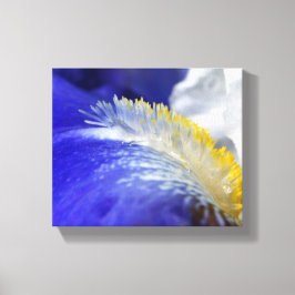 ブルースを歌え！ キャンバスプリント