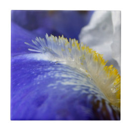 ブルースを歌え！ タイル