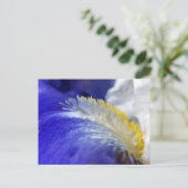 ブルースを歌え！ ポストカード (スタンド正面)