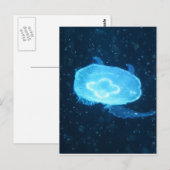 ブルースイミングクラゲ ポストカード (正面/裏面)