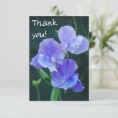 ブルースイートピーフラワーズサンキューカード サンキューカード (スタンド正面)
