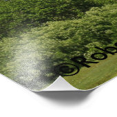 ブルースカイと白い雲を持つカンザスオールドバーン フォトプリント            (角)