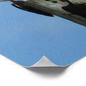 ブルースカイに対するキツネザルの写真 ポスター (角)