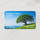 ブルースカイに対する澄んツリーオンヒルズ 名刺 (正面)