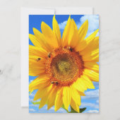 ブルースカイに登場するニバーサリーカードのひまわりとミツバチ カード (裏面)