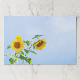 ブルースカイの下のひまわり ペーパーパッド