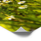 ブルースカイイエローマスタードワイルドフラワーポスター ポスター (角)