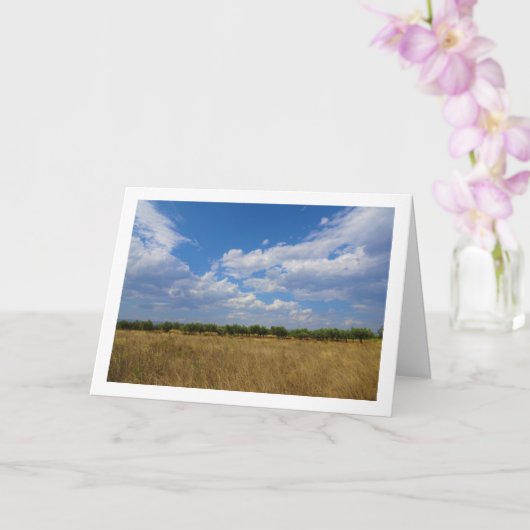 ブルースカイオーチャードランドスケープ カード (蘭)