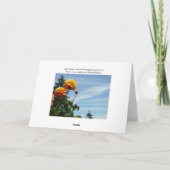 ブルースカイグリーティングカードサマーバラガーデン カード (裏面)