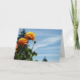 ブルースカイグリーティングカードサマーバラガーデン カード