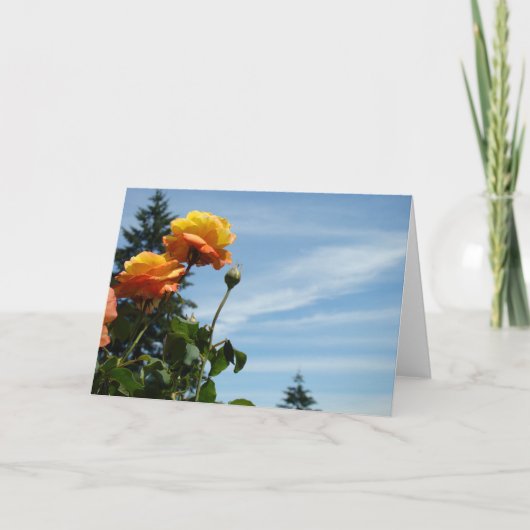 ブルースカイグリーティングカードサマーバラガーデン カード (正面)
