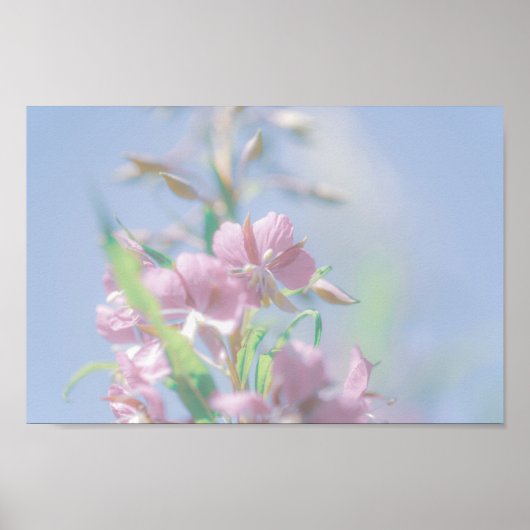 ブルースカイグリーン葉植物紫色の花 ポスター (正面)