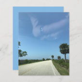 ブルースカイフロリダハイウェイパームススクラップブック紙 (正面/裏面)