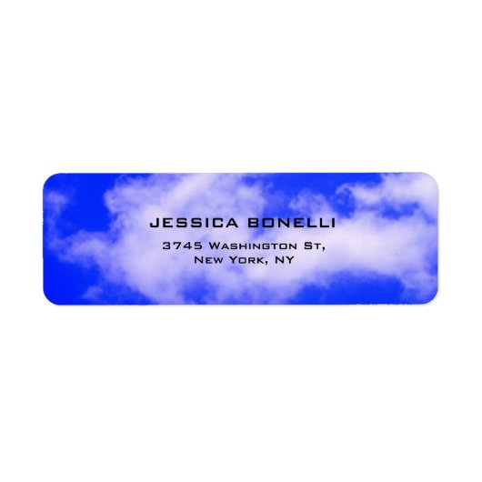 ブルースカイプレーンモダントレンディーミニマリスト ラベル (正面)