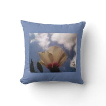 ブルースカイホワイトローズ