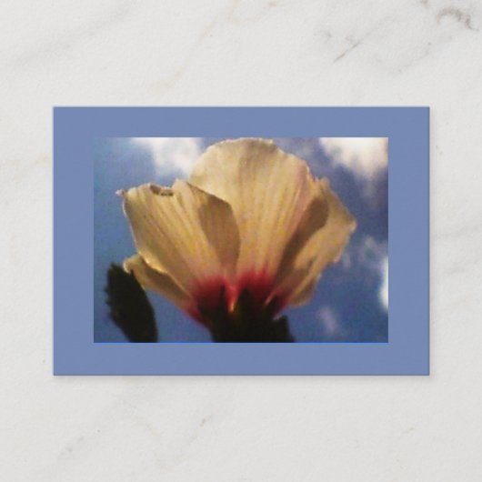 ブルースカイホワイトローズ 名刺 (正面)