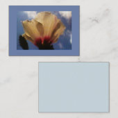 ブルースカイホワイトローズ 名刺 (正面/裏面)