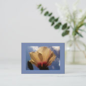 ブルースカイホワイトローズ 名刺 (スタンド正面)