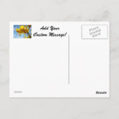 ブルースカイポストカードサマーイエロータイガーリリー ポストカード (裏面)