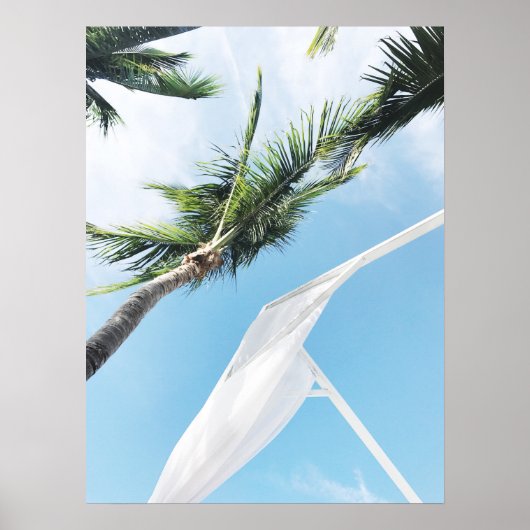 ブルースカイ写真下の熱帯性ヤシの木 ポスター (正面)