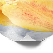 ブルースカイ8x10の黄色いチューリップの花 フォトプリント            (角)