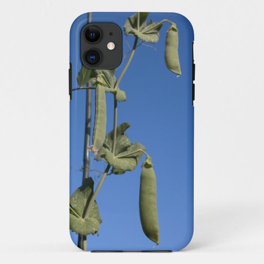 ブルースカイiPhone 5ケースに雪エンドウ Case-Mate iPhoneケース (裏面)