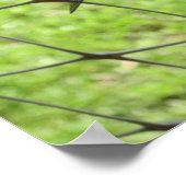 ブルースキマー ポスター (角)