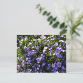 ブルースクイル春の花 ポストカード (スタンド正面)