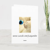 ブルースターを熟視 シーズンカード (裏面)