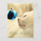 ブルースターを熟視 シーズンポストカード (正面)