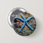 ブルースターフィッシュ熱帯海ラジャアンパット諸島 缶バッジ (正面&裏面)