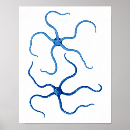 ブルースターフィッシュno.6ビーチの壁装飾 ポスター (正面)