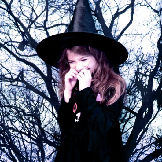 ブルースツリーシャドウフォレストハウス タペストリー