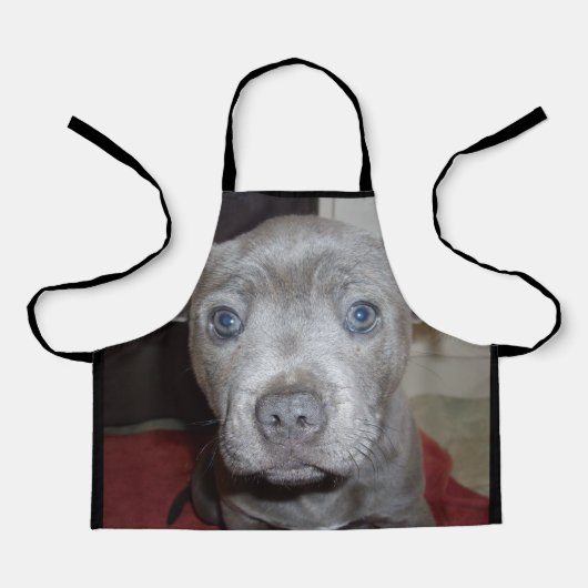 ブルーステイッフィー子犬、キッズフルプリントアポン エプロン (正面)