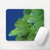 ブルーストライプフランスのとマーガートの学校 マウスパッド (マウス)